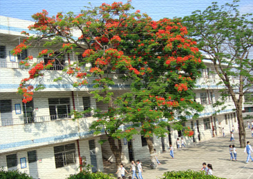 深圳市龙岗区新湖小学